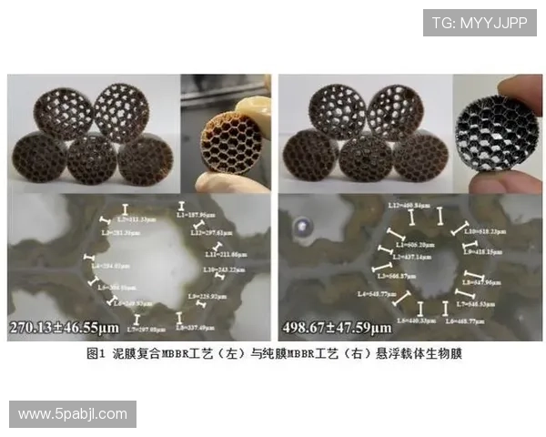 PA旗舰厅的安全性问题及解决方案探讨